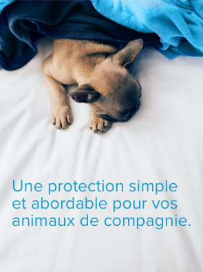 Relax, Canadian Pet Health Insurance