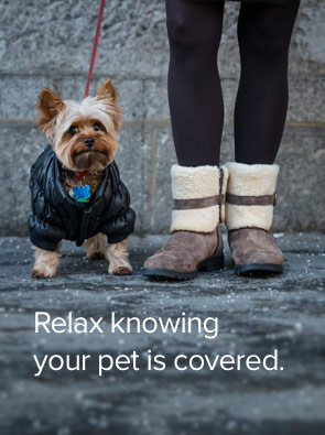 Relax, Canadian Pet Health Insurance